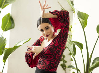 Top Flamenco Davedans Ricote