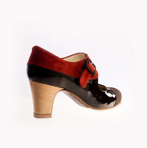 Zapatos de Flamenco Mujer Begoña Cervera Tricolor II