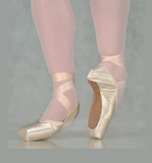 Puntas de Ballet R-CLASS JW-R Soft