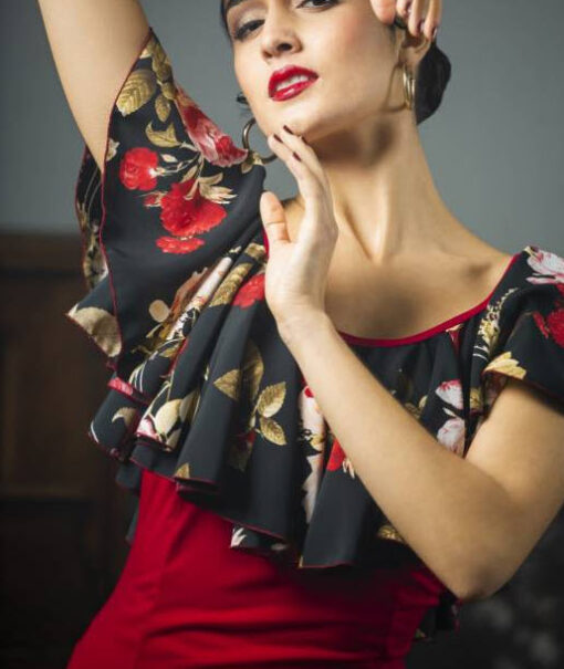 Top Flamenco Davedans MAIPO