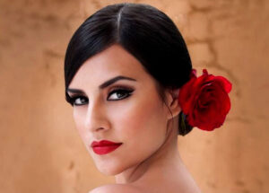 look flamenco ideal