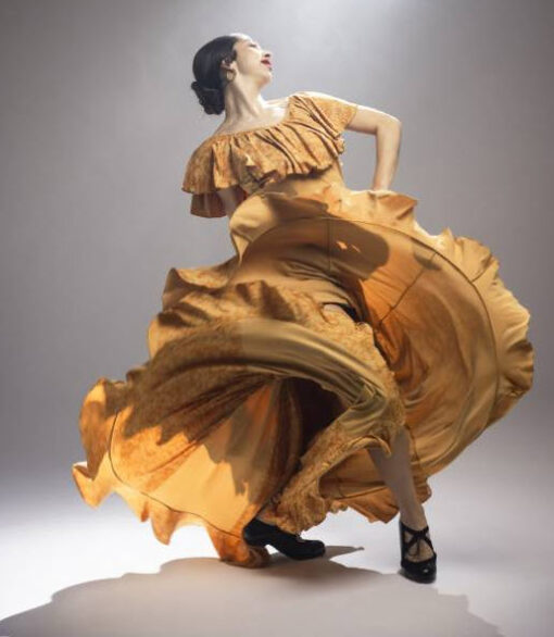 Falda Flamenca Davedans PETALO
