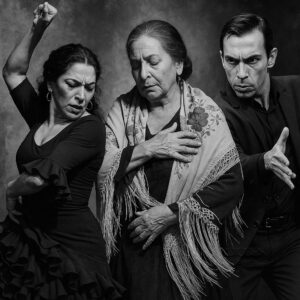 mejores coreografias flamencas