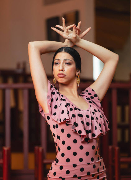 Top Flamenco Davedans ALJARAFE